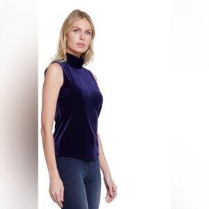 JONDEN VELVET HIGH NECK SLEEVES TOP IN DARK PURPLE EGGPLANT COLOUR